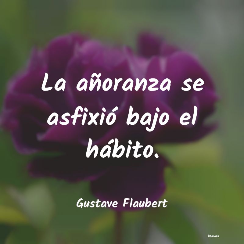 Frases de Gustave Flaubert