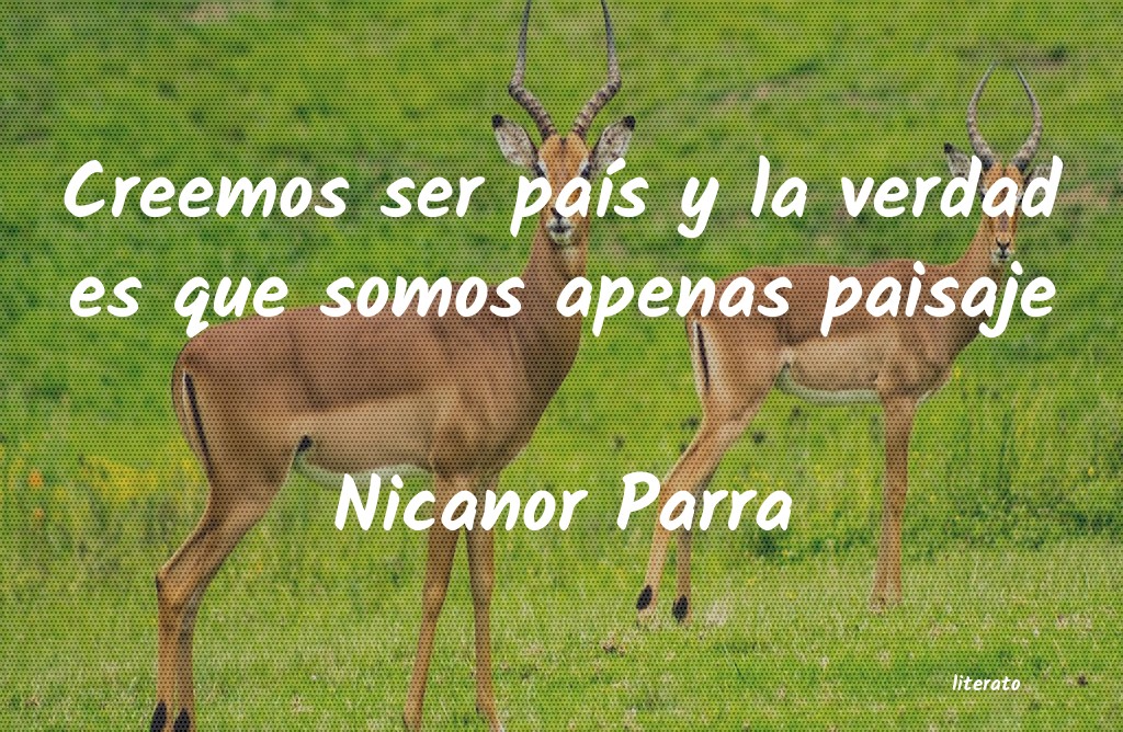 Frases de Nicanor Parra