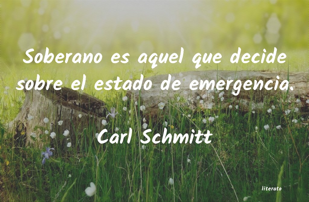 Frases de Carl Schmitt