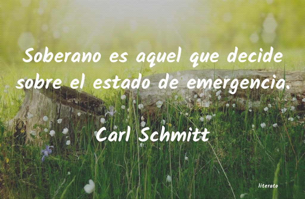 frases de Carl Schmitt
