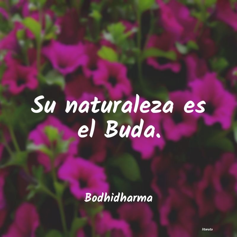 Frases de Bodhidharma