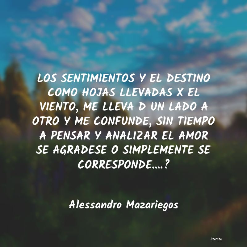 Frases de Alessandro Mazariegos