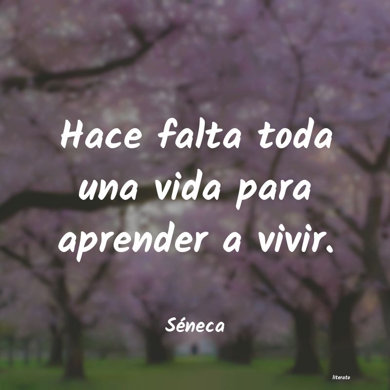 Frases de Séneca