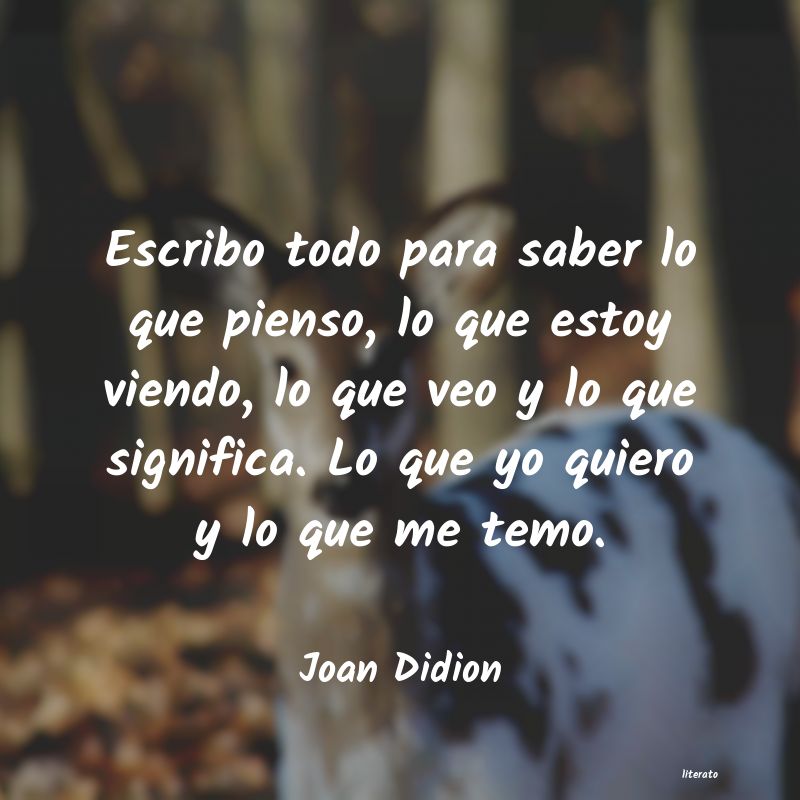 Frases de Joan Didion