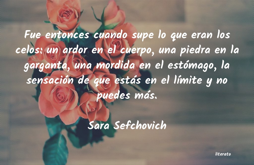 frases de Sara Sefchovich