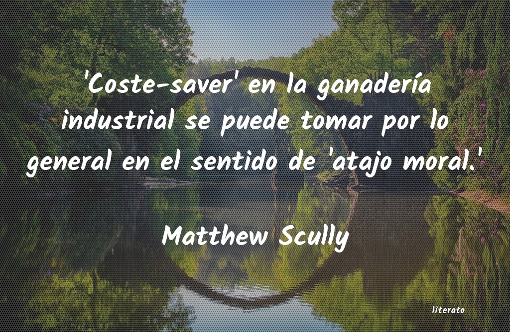 Frases de Matthew Scully