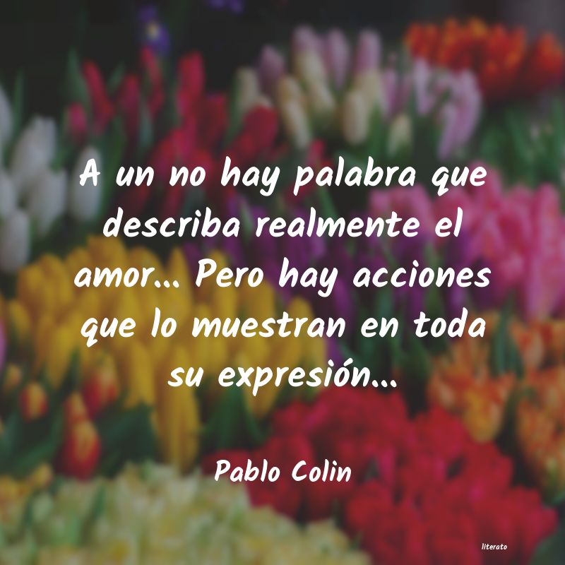 Frases de Pablo Colin