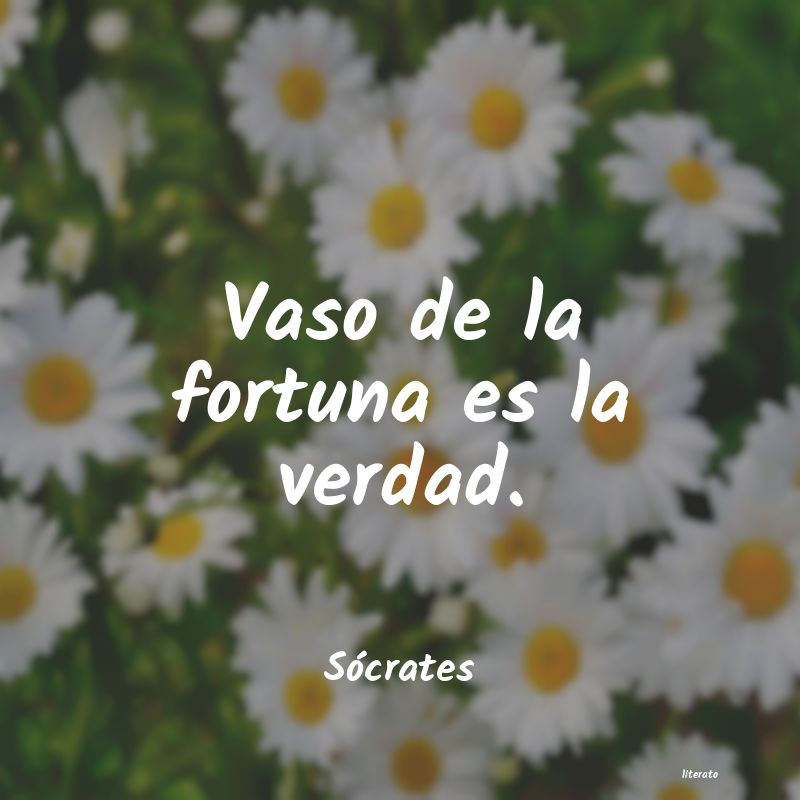 Frases de Sócrates