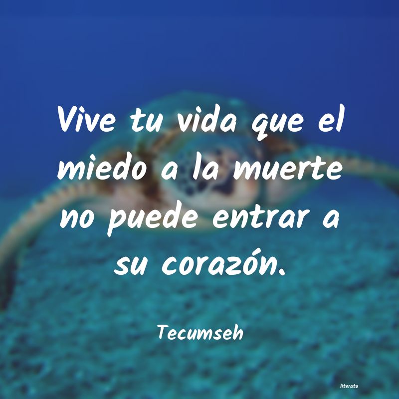 Frases de Tecumseh