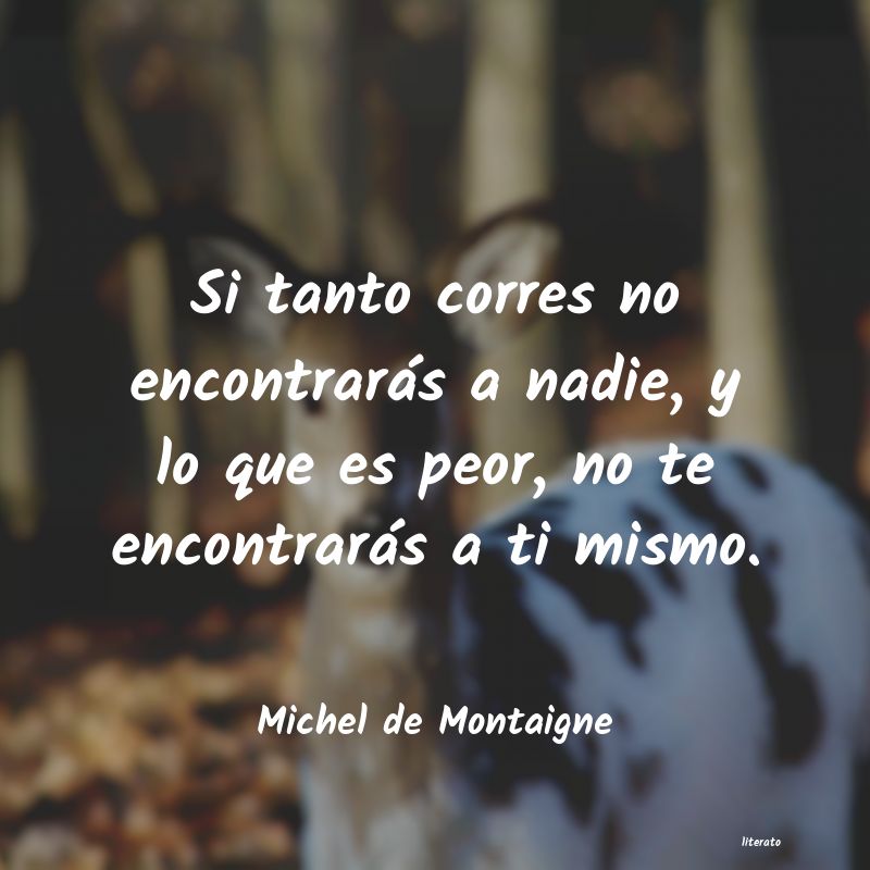 frases de Michel de Montaigne