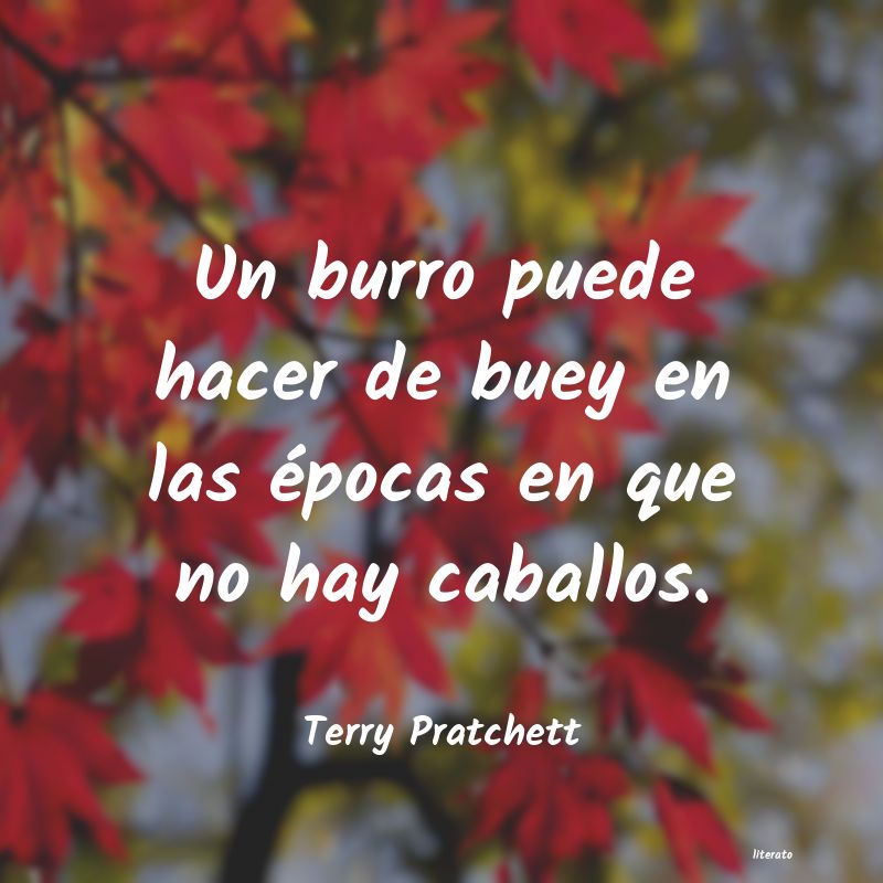 Frases de Terry Pratchett