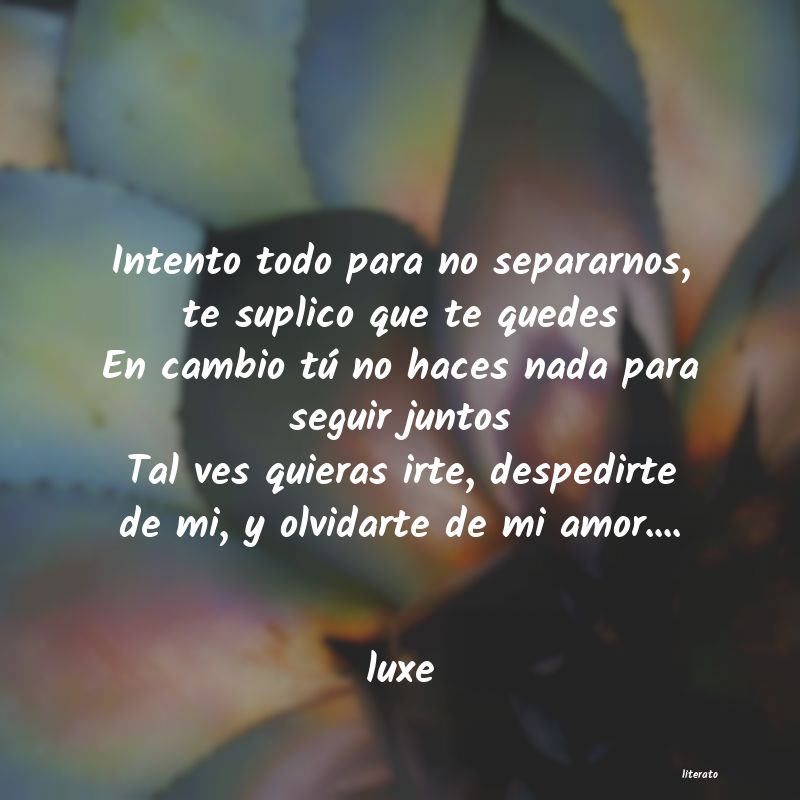 frases de luxe
