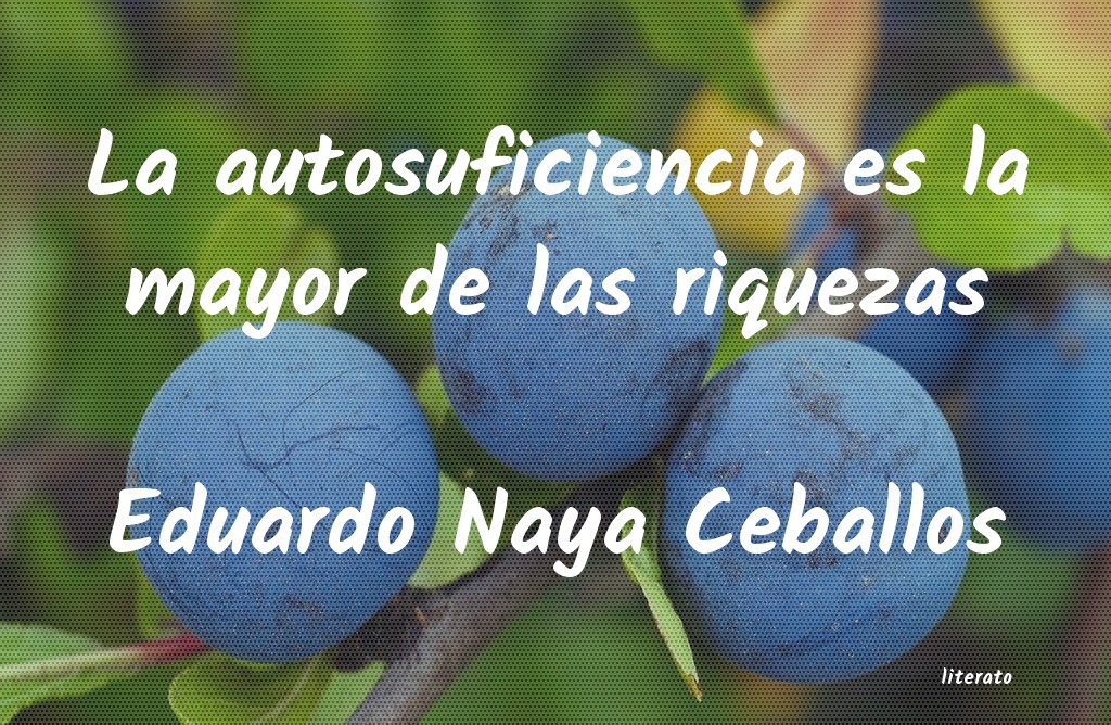 frases de Eduardo Naya Ceballos