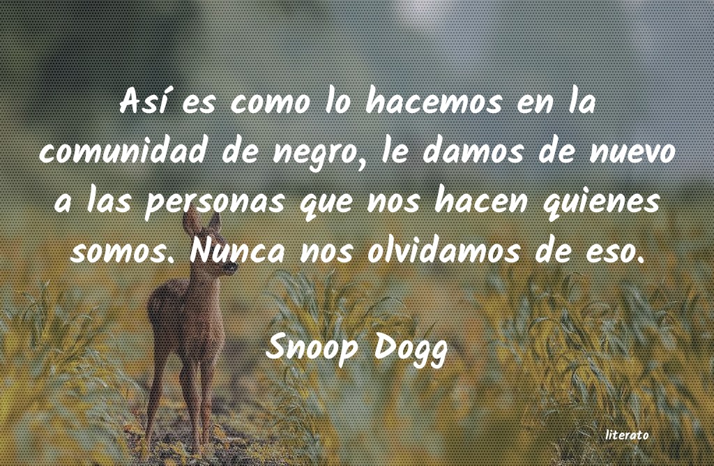 Frases de Snoop Dogg