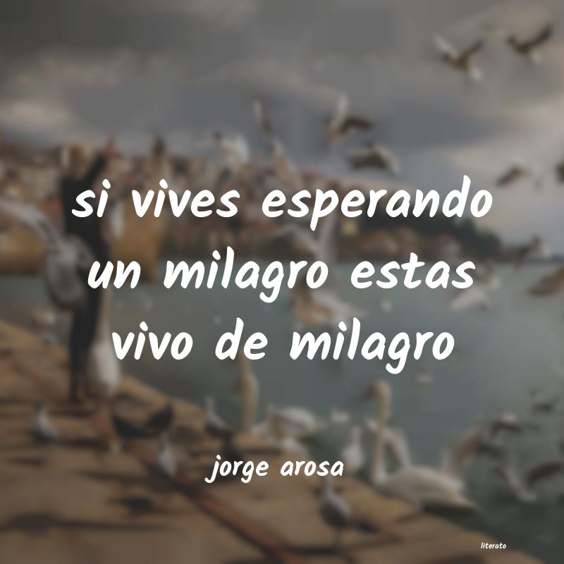 Frases de jorge arosa