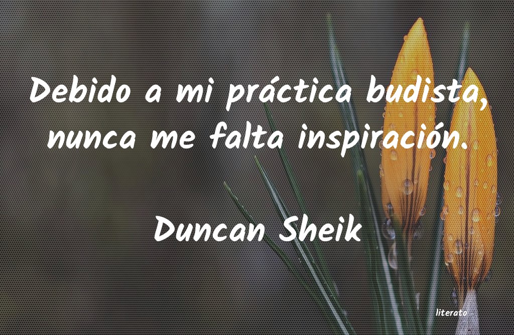 Frases de Duncan Sheik