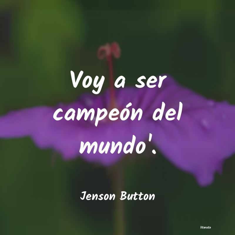 Frases de Jenson Button