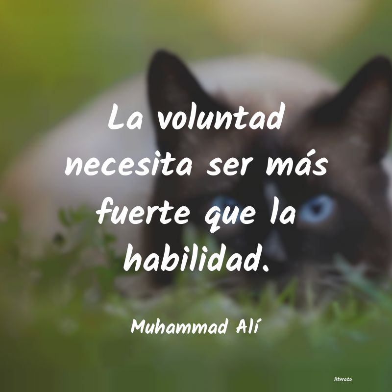 Frases de Muhammad Alí