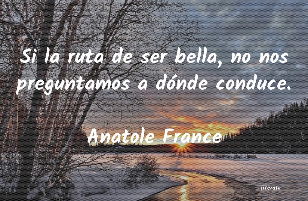 Frases de Anatole France