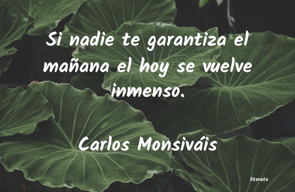 Frases de Carlos Monsiváis