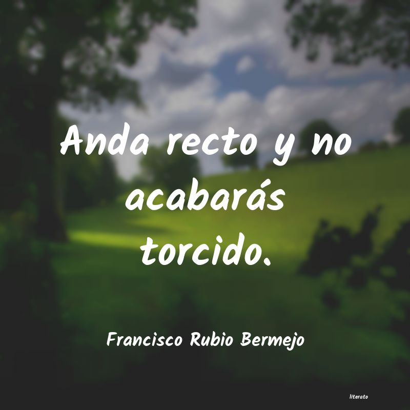 frases de Francisco Rubio Bermejo