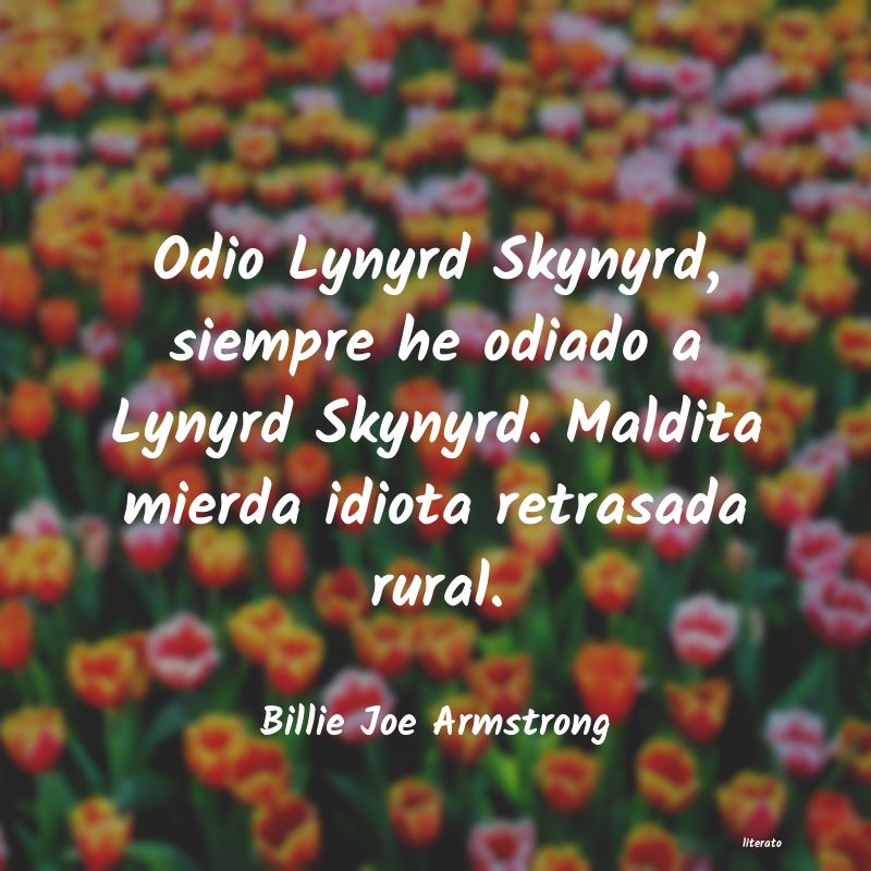 Frases de Billie Joe Armstrong