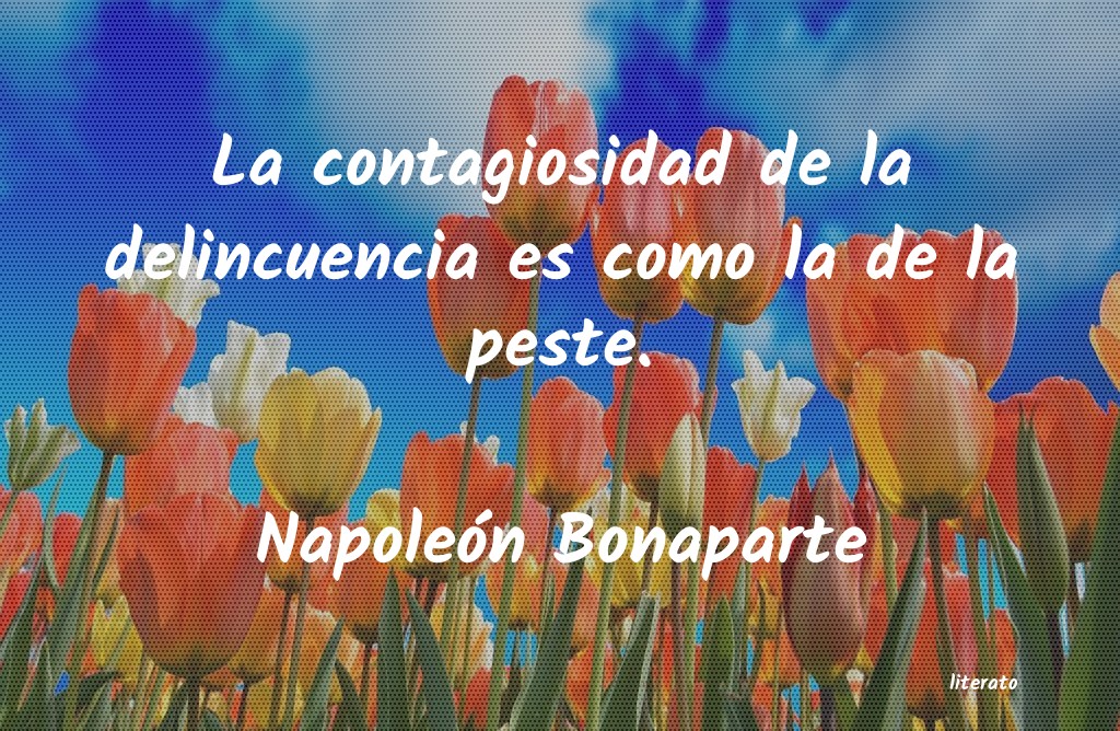 frases de Napoleón Bonaparte