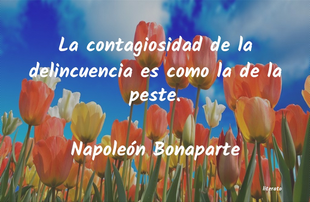 pensamientos de napoleon bonaparte