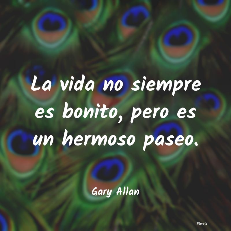 Frases de Gary Allan