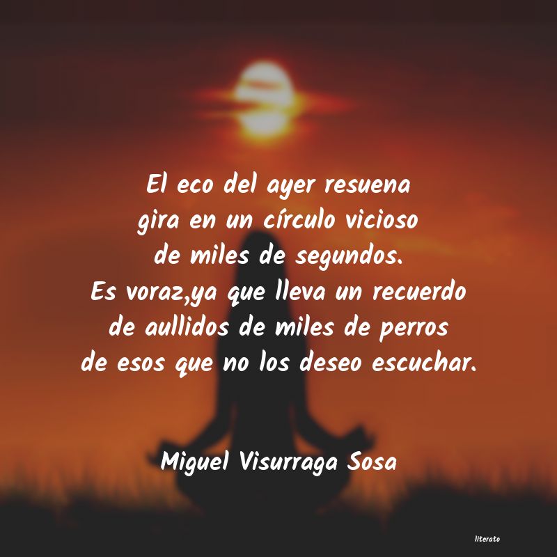 Frases de Miguel Visurraga Sosa