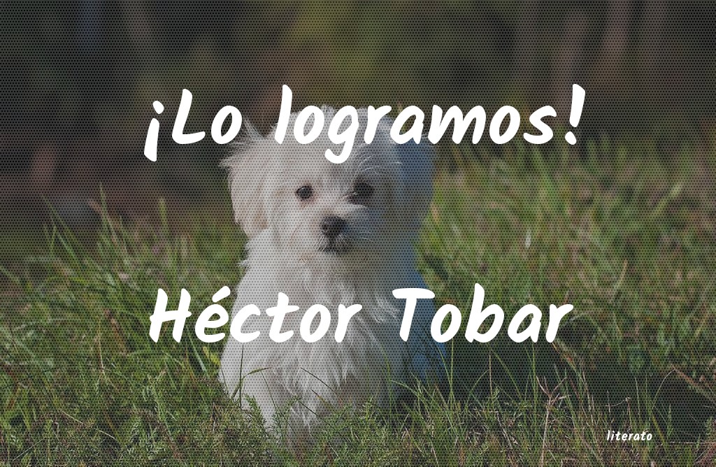 frases de Héctor Tobar