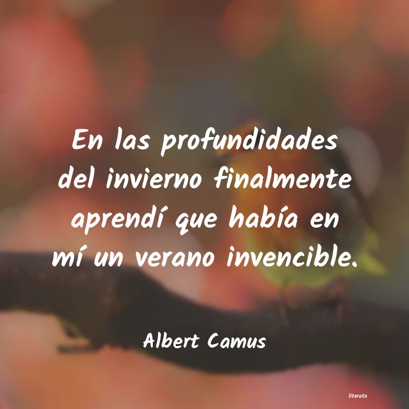 Frases de Albert Camus