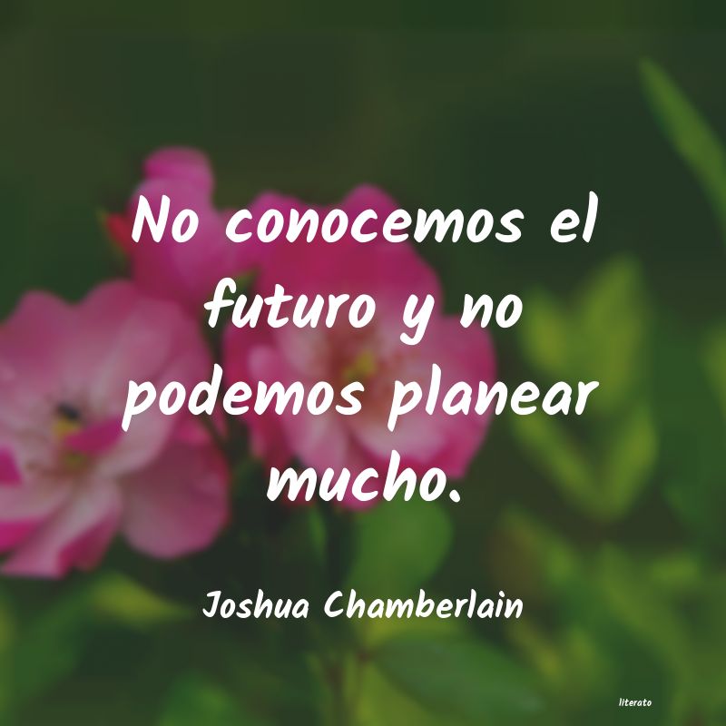 Frases de Joshua Chamberlain