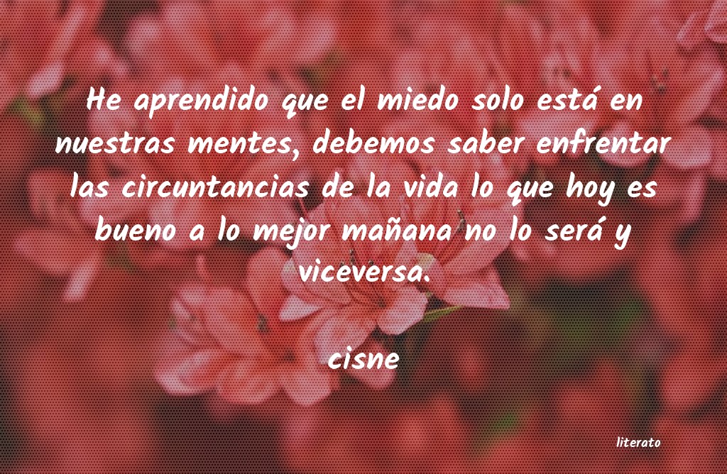 Frases de cisne