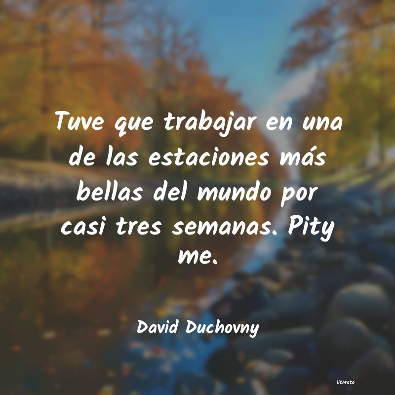 frases de David Duchovny