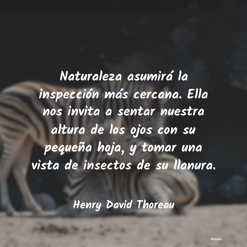 Frases de Henry David Thoreau