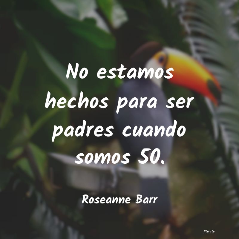 frases de Roseanne Barr