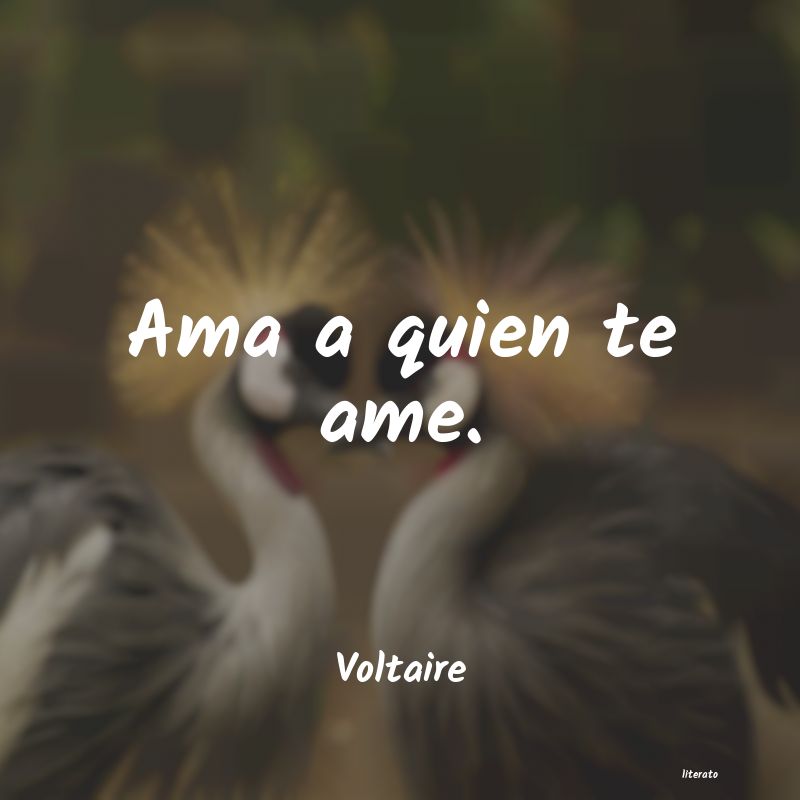 Frases de Voltaire