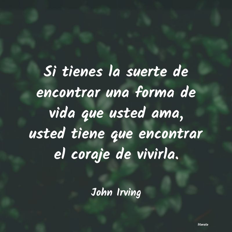 Frases de John Irving