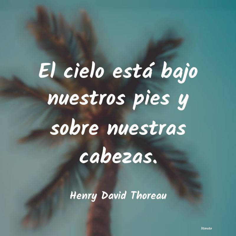 Frases de Henry David Thoreau