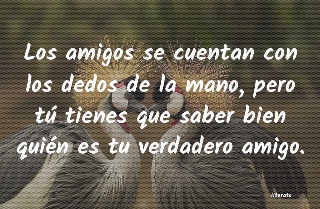 frases