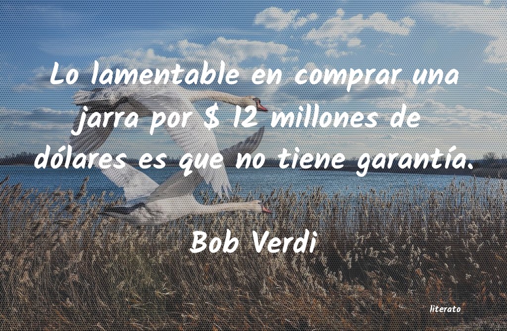 Frases de Bob Verdi