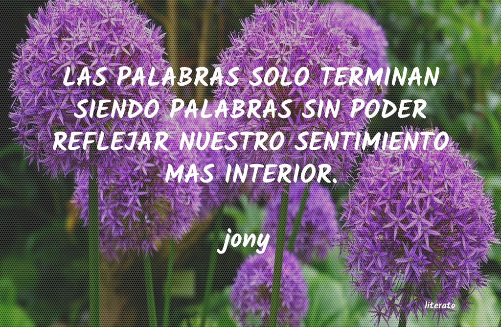 Frases de jony