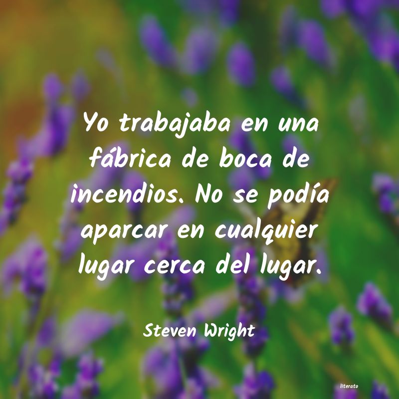 Frases de Steven Wright