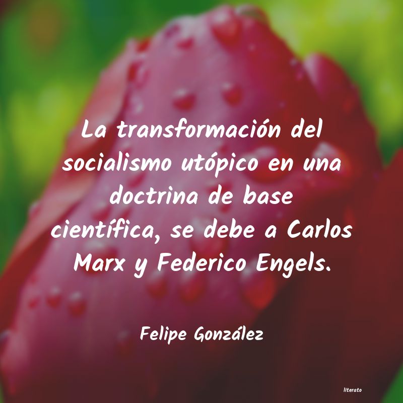 Frases de Felipe González