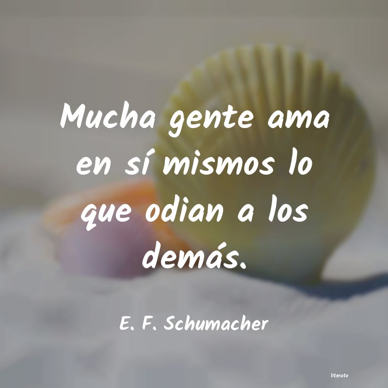 Frases de E. F. Schumacher