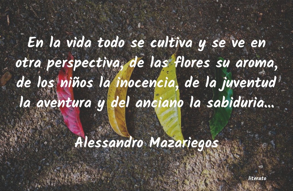 Frases de Alessandro Mazariegos