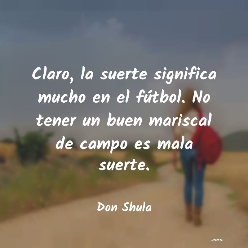 Frases de Don Shula