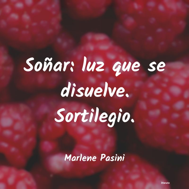 Frases de Marlene Pasini