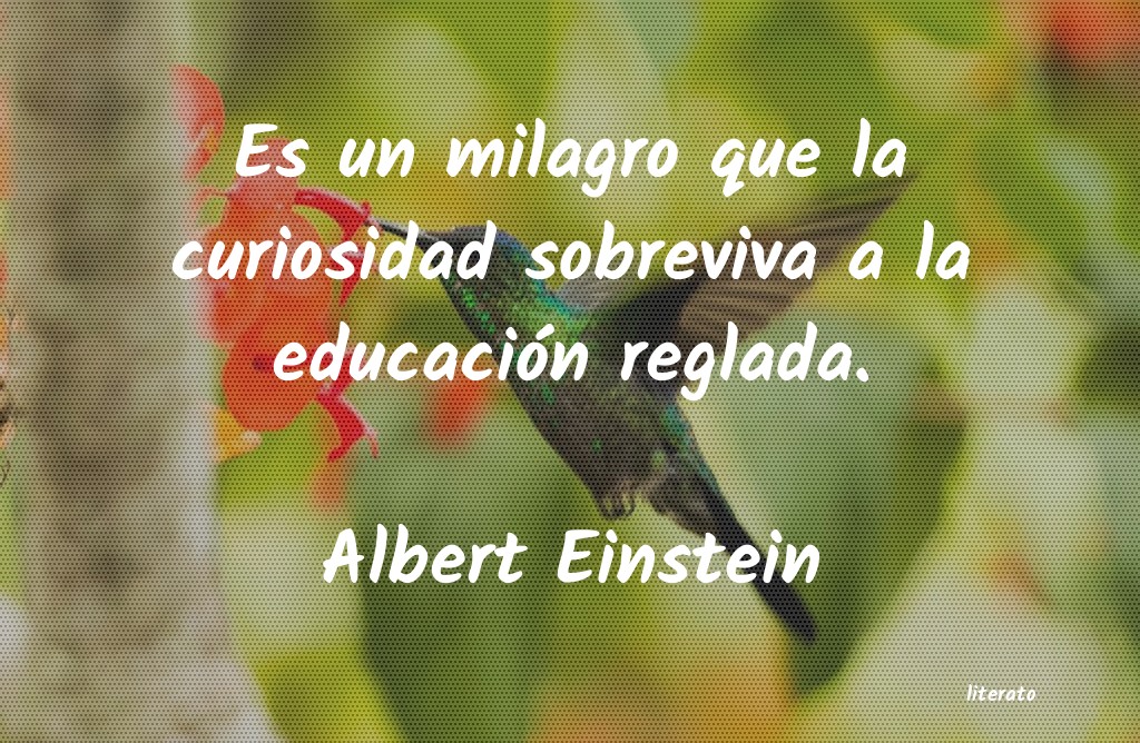 Frases de Albert Einstein